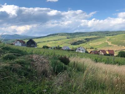 For sale Soultzmatt 570 m2 Haut rhin (68570) photo 2