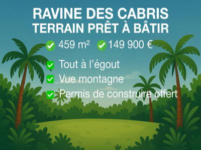 For sale Saint-pierre 538 m2 Reunion (97410) photo 0