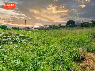 For sale Saint-pierre 538 m2 Reunion (97410) photo 1