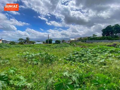 For sale Saint-pierre 538 m2 Reunion (97410) photo 2