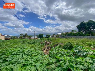For sale Saint-pierre 538 m2 Reunion (97410) photo 3