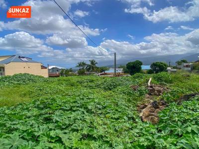 For sale Saint-pierre 538 m2 Reunion (97410) photo 4