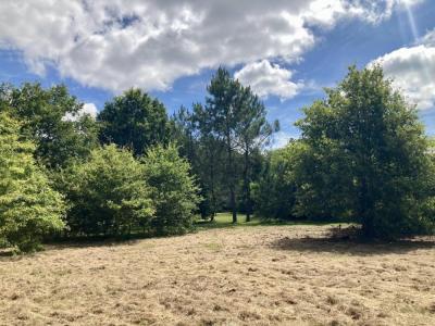 Acheter Terrain 900 m2 Langon