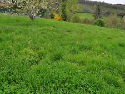 For sale Rhone (69370) photo 0
