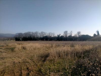 For sale Chabeuil 373 m2 Drome (26120) photo 0