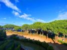 For sale Apartment Grau-du-roi PORT CAMARGUE PLAGE SUD 19 m2