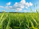For sale Land Ibos 526 m2