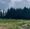 For sale Land Artigues-pres-bordeaux 502 m2