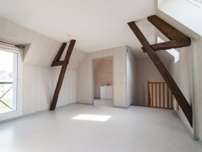 Annonce Location Appartement Villentrois 36