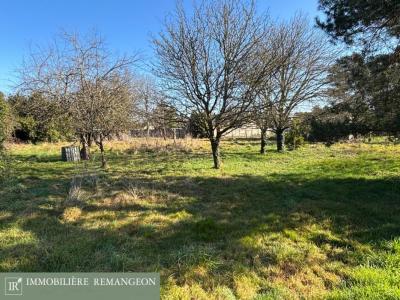 For sale Mereau 1845 m2 Cher (18120) photo 0