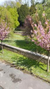 Annonce Location 3 pices Appartement Haraucourt 08
