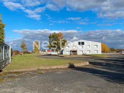 Acheter Commerce 1154 m2 Herbault