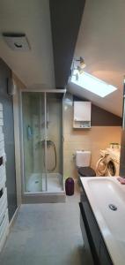 For rent Allonzier-la-caille 1 room 26 m2 Haute savoie (74350) photo 4