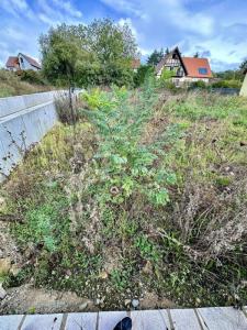 Acheter Terrain Rosenwiller 148800 euros