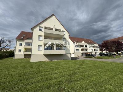 Acheter Appartement 33 m2 Hochfelden
