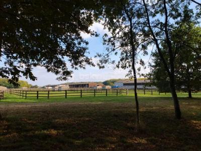 For sale Fontenay-tresigny 20 rooms 800 m2 Seine et marne (77610) photo 0