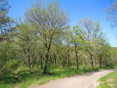 For sale Monteils 22925 m2 Aveyron (12200) photo 0