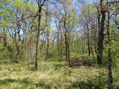 For sale Monteils 22925 m2 Aveyron (12200) photo 1