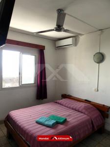 For sale Saint-pierre 17 rooms 300 m2 Reunion (97410) photo 2