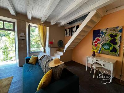 For sale Vieillevie 2 rooms 50 m2 Cantal (15120) photo 3