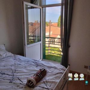 For rent Avignon 3 rooms 51 m2 Vaucluse (84000) photo 2