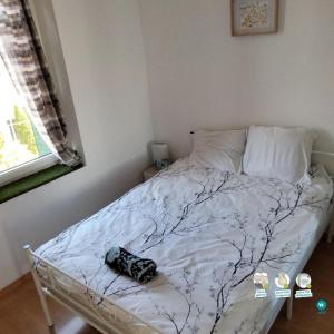 For rent Avignon 3 rooms 51 m2 Vaucluse (84000) photo 3