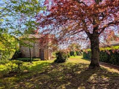 For sale Cazeres 7 rooms 224 m2 Haute garonne (31220) photo 1