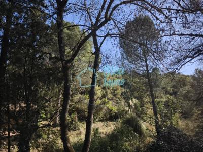 Acheter Terrain Combaillaux Herault