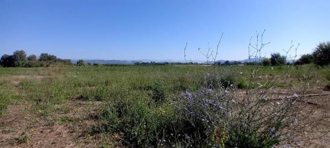 For sale CAMPAGNE 8 rooms 177 m2 Var (83600) photo 2