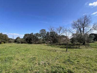 Annonce Vente Terrain  30