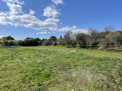For sale AXE NIMES   ALES Gard (30350) photo 0