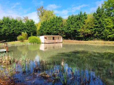 For sale CAMPAGNE 2584 m2 Creuse (23270) photo 4