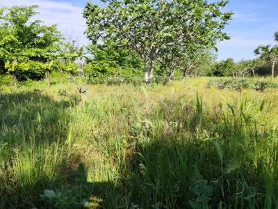 For sale Herault (34530) photo 0