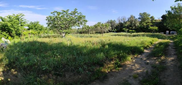 For sale Herault (34530) photo 2