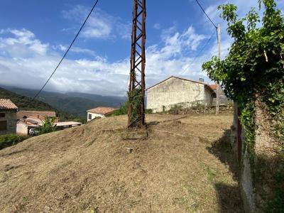 For sale Carbuccia 395 m2 Corse (20133) photo 4