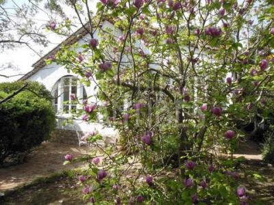Vacation rentals Antibes Cap d'Antibes 4 rooms Alpes Maritimes (06600) photo 3