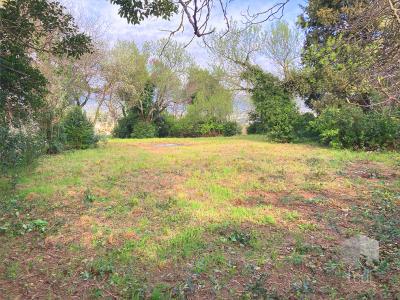 For sale Montelimar 4 rooms 60 m2 Drome (26200) photo 4