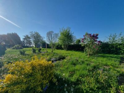 Acheter Maison 82 m2 Anor