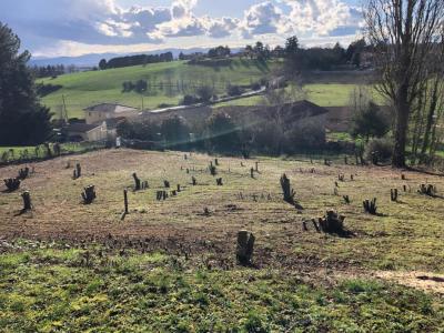 For sale Limonest 953 m2 Rhone (69760) photo 0