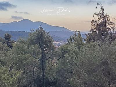 For sale Levens 9505 m2 Alpes Maritimes (06670) photo 1