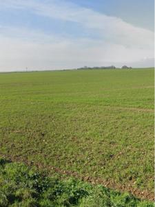 For sale Villedoux 340 m2 Charente maritime (17230) photo 1
