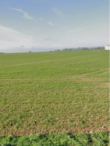 For sale Villedoux 340 m2 Charente maritime (17230) photo 2