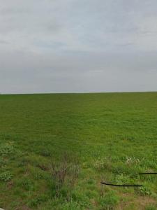 Annonce Vente Terrain Saint-xandre 17