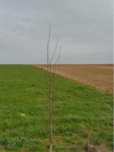 Acheter Terrain 300 m2 Saint-xandre