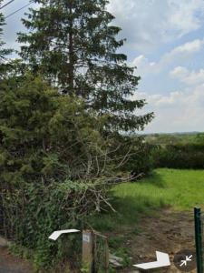 Acheter Maison 93 m2 Damelevieres