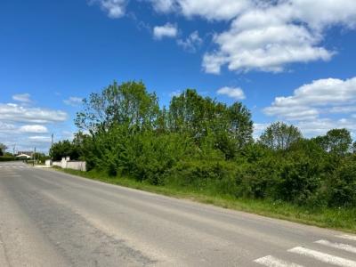 For sale Etain 5 rooms 93 m2 Meuse (55400) photo 1
