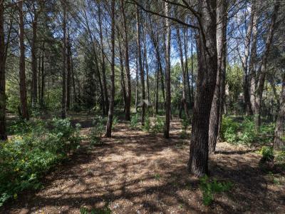 For sale Plaissan 6 rooms 112 m2 Herault (34230) photo 2