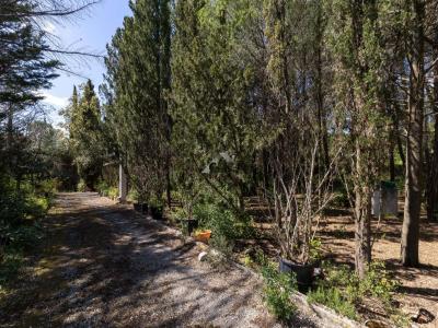 For sale Plaissan 6 rooms 112 m2 Herault (34230) photo 3