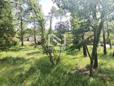 For sale Callian 4 rooms 96 m2 Var (83440) photo 1