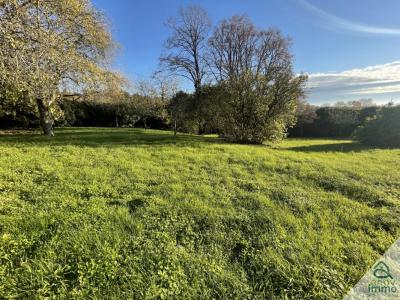 For sale Villebois-lavalette 1 room 2400 m2 Charente (16320) photo 2